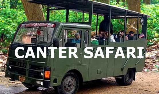 canter for safari