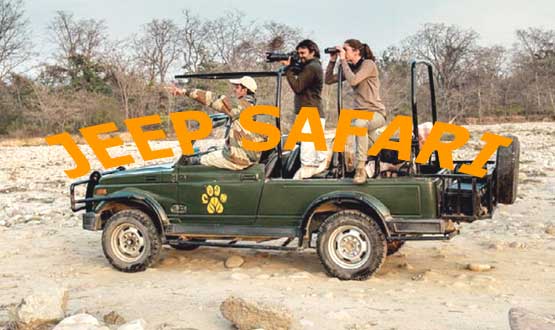 jeep safari booking in jim corbett